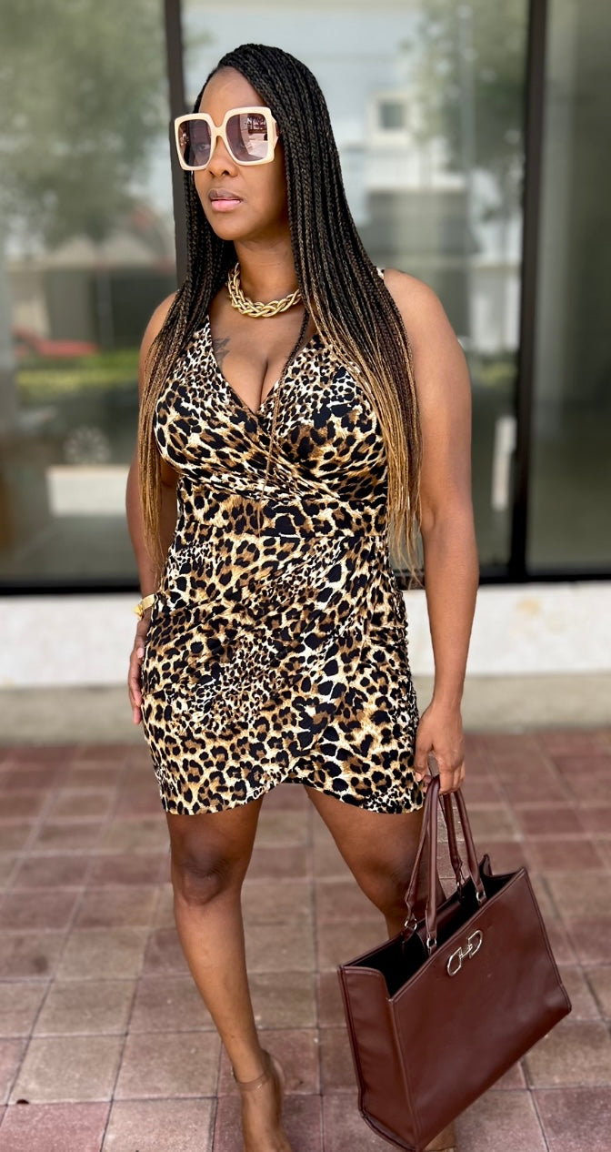 Cheetah