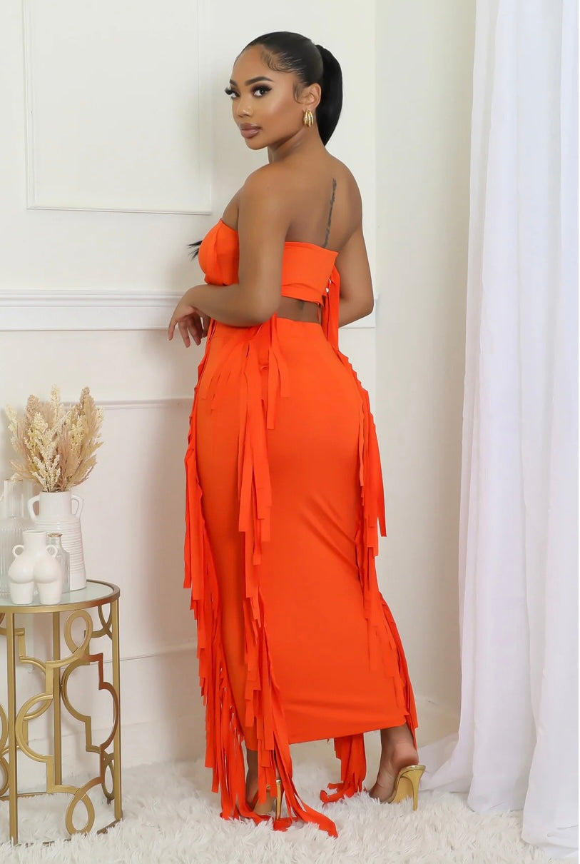 Fringe Skirt Set